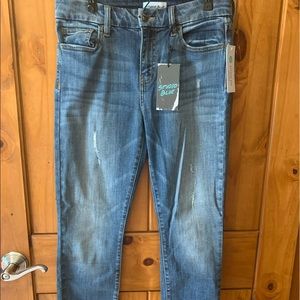 Studio Blue Skinny Jeans